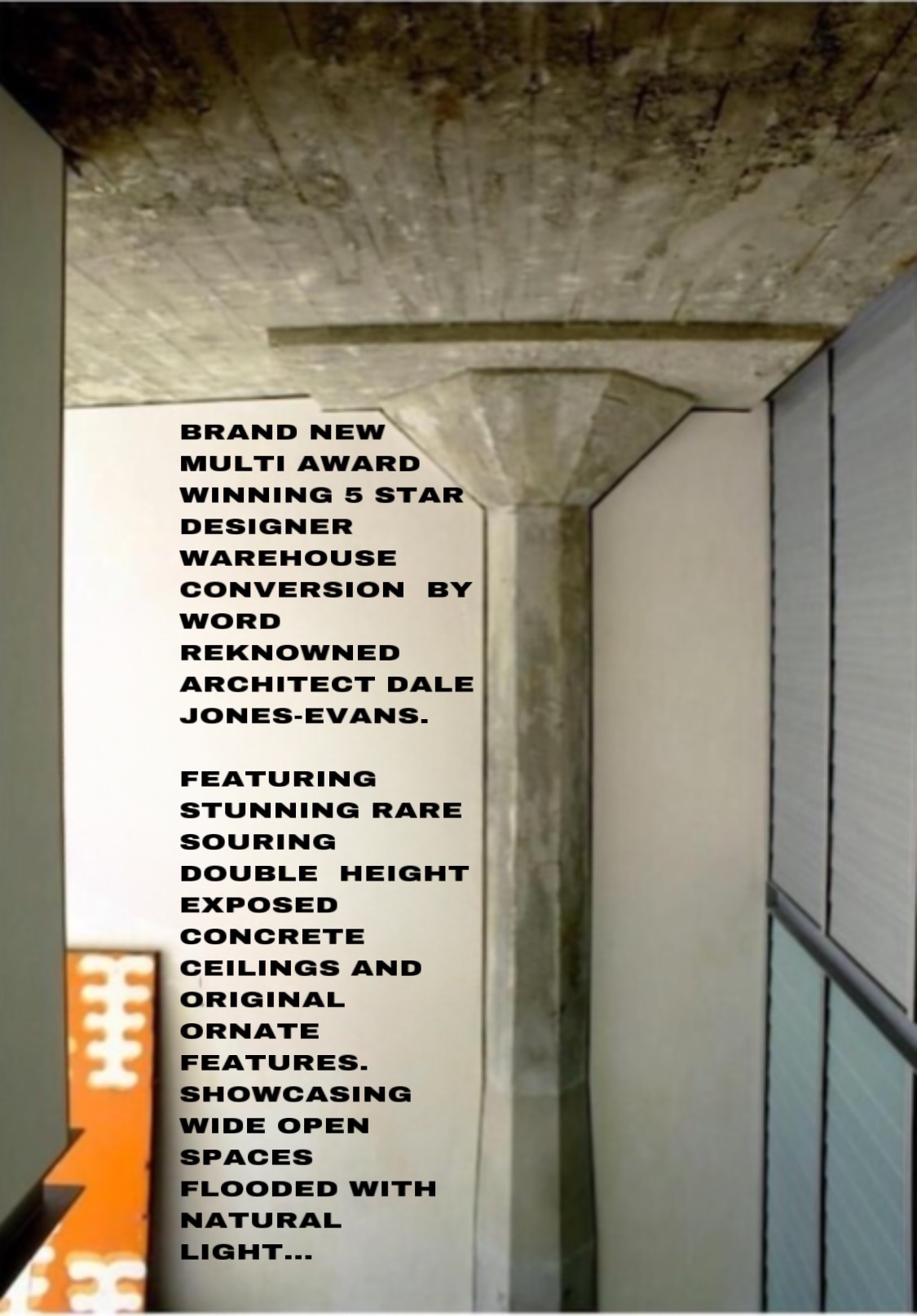 WAREHOUSE! RARE! MASSIV BEST LOC ARCHIT MASTERPIEC - Sydney NSW