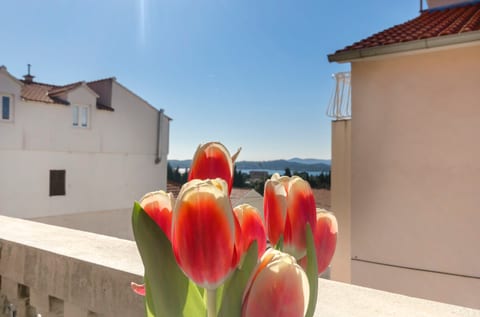 Apartment Miranda - Unit 376772-13