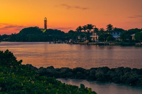 Paradise on the Park