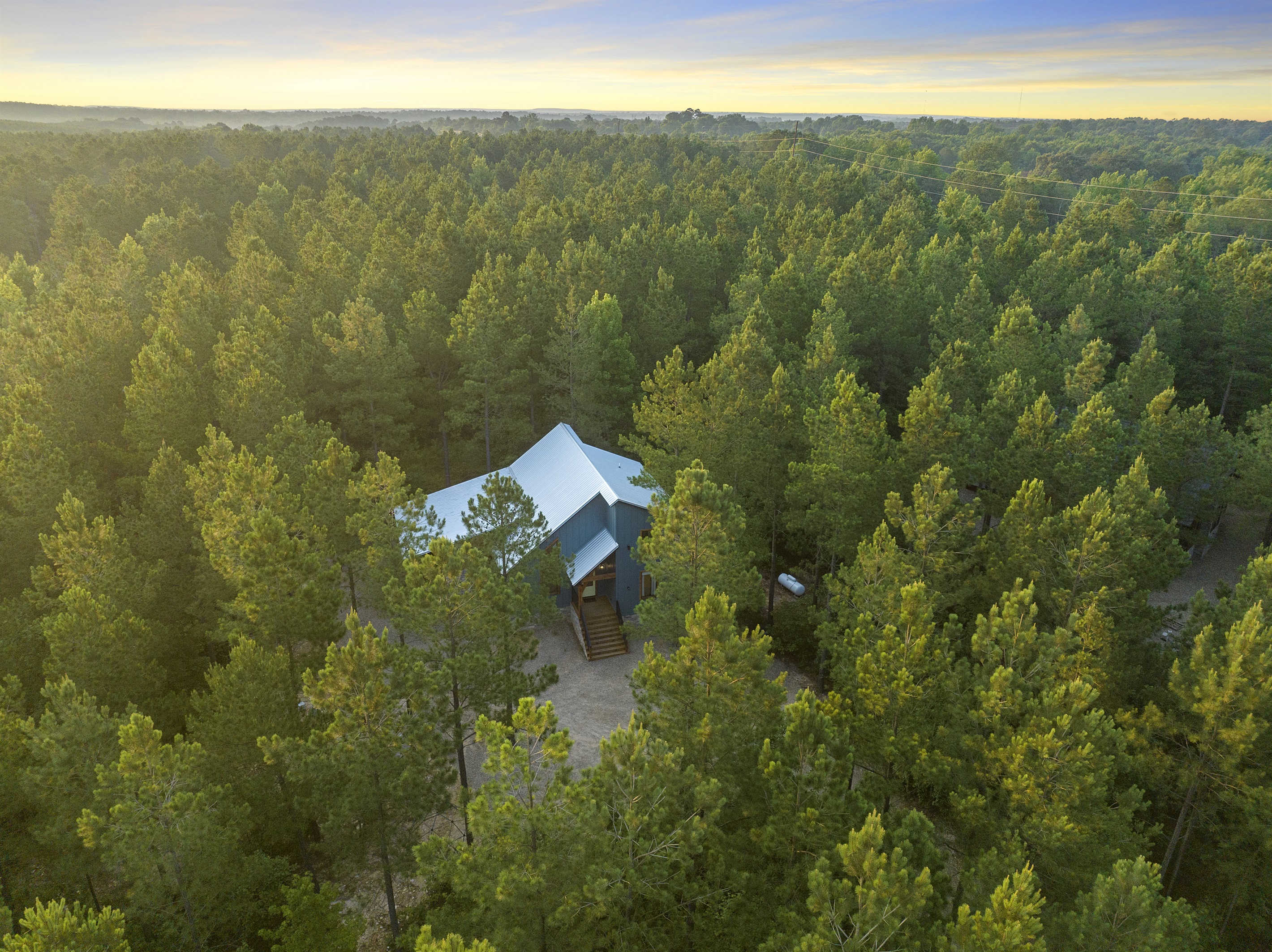 Surrounded by towering pines