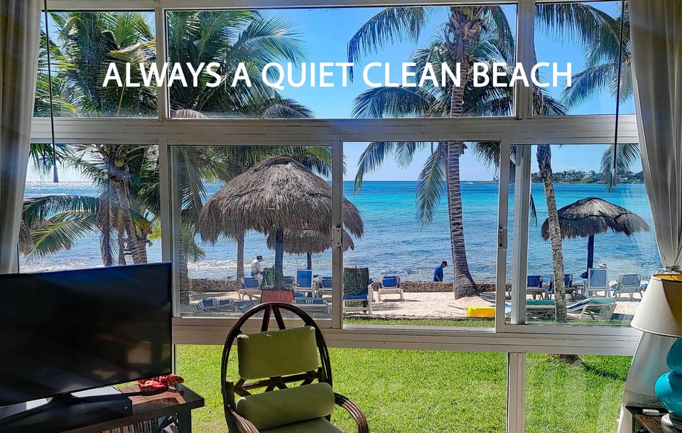 You Can't Get Any Closer to a Beautiful Beach Than This!