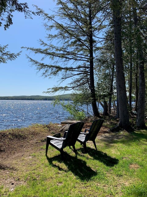 Maine Roots - Sebec Lake, Maine
