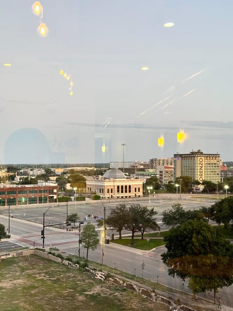 View from Living