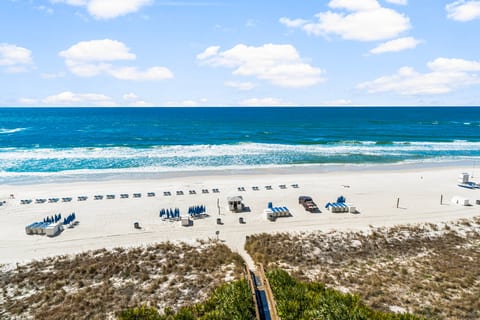 Beach Front Emerald 736 Sleeps 8!