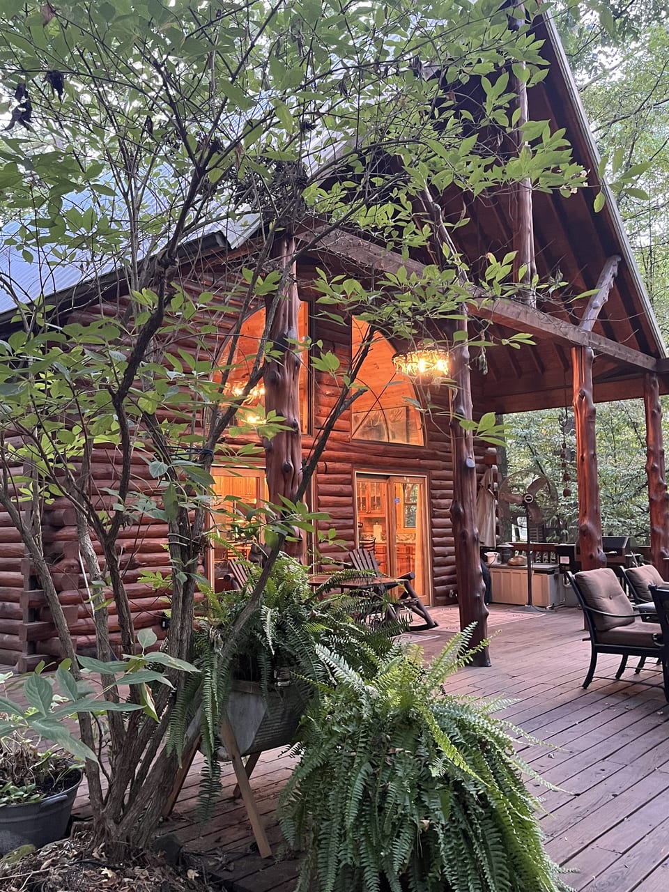 "Our cabin offers an authentic cabin experience, tucked right against the national forest for a true nature escape."