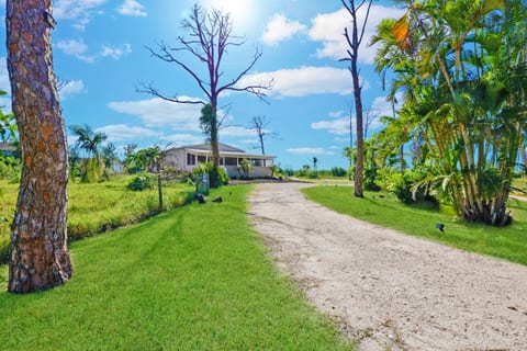 Driveway to the property