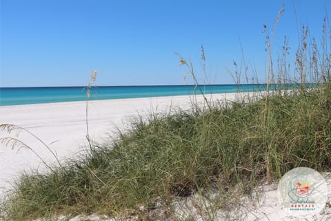 Experience PCB the Shoreline way — crystal-clear waters, peaceful beaches, unforgettable stays.