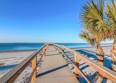 Tybee Island Beach, Dolphins, Oceanfront Condos, Pools