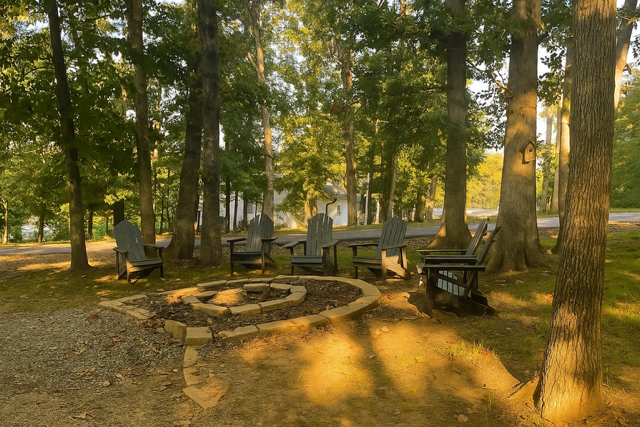 Fire pit for the whole family