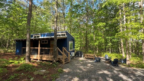 Tiny Cub House
