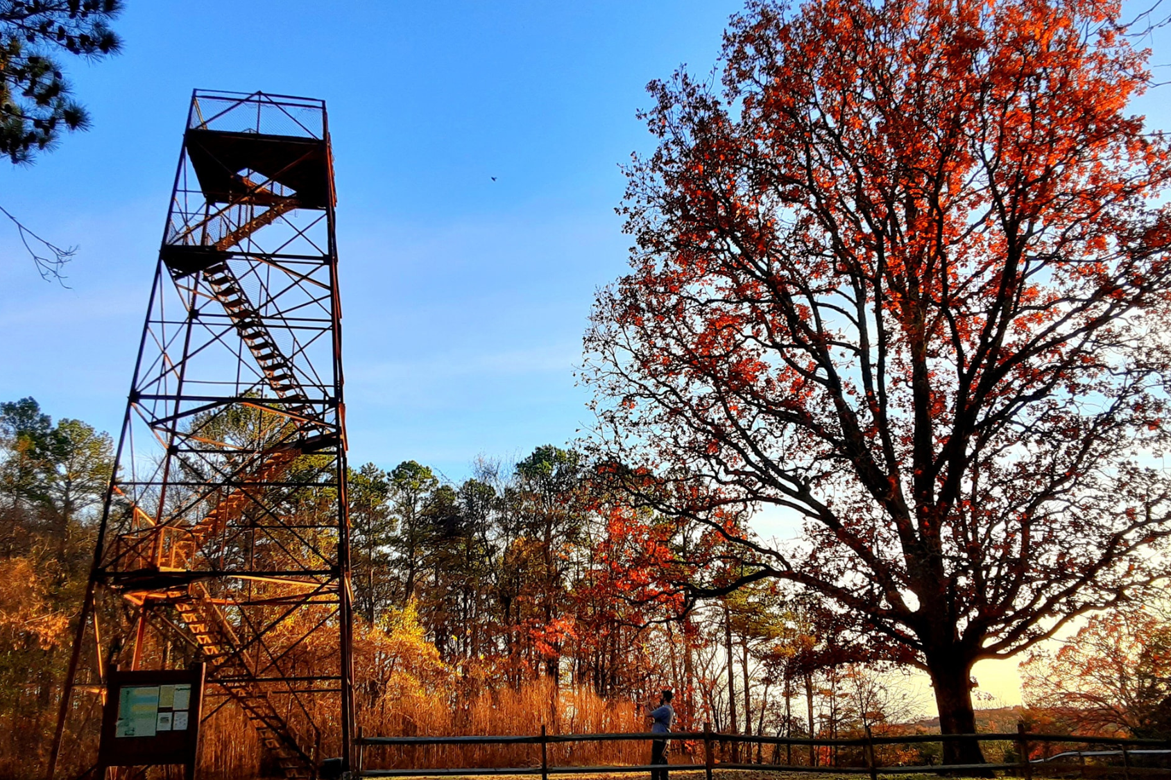 Trigg Tower- 9 minutes