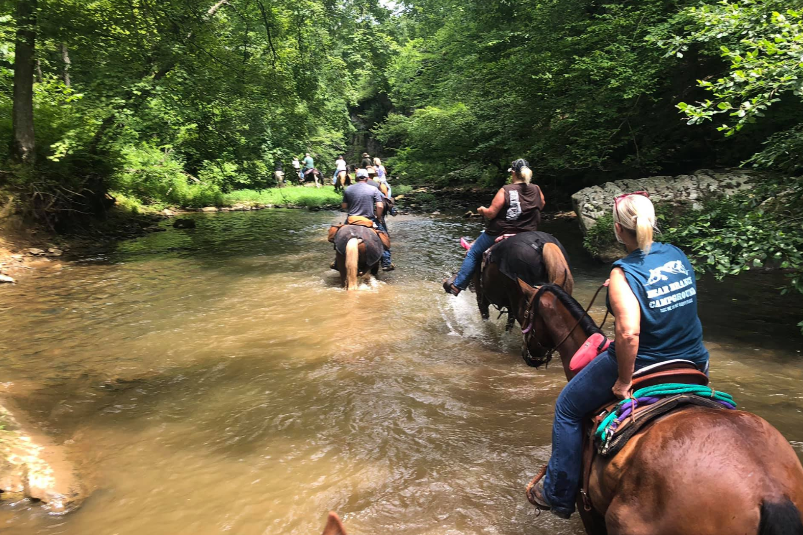 Bear Branch Horseback Riding-