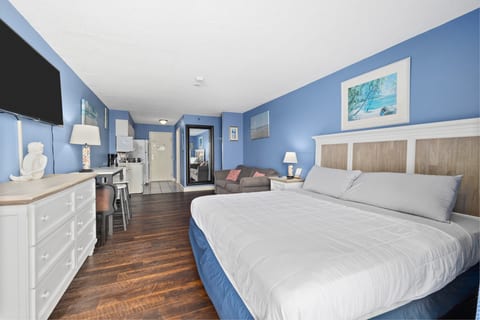 Sea Mist 51304 - Studio