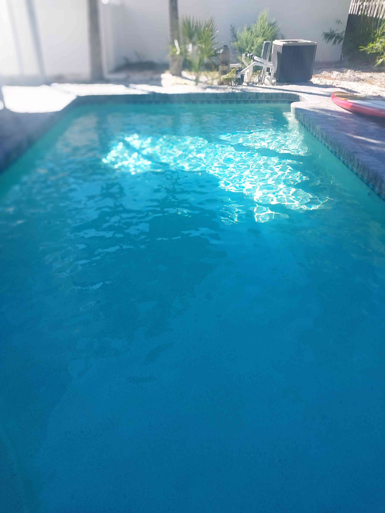 siesta-key-beach-*-aylee's-private-beach-house-*-pet-friendly-*-saltwater-pool-*-ev-charging-station/