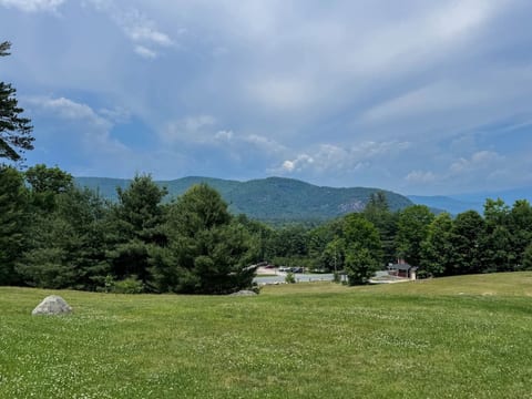 Stonehurst Hideaway | Prime Location + Pool Table