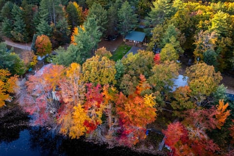 The Bear's Den | Cabin with Lake Access, Hot Tub, Firepit!