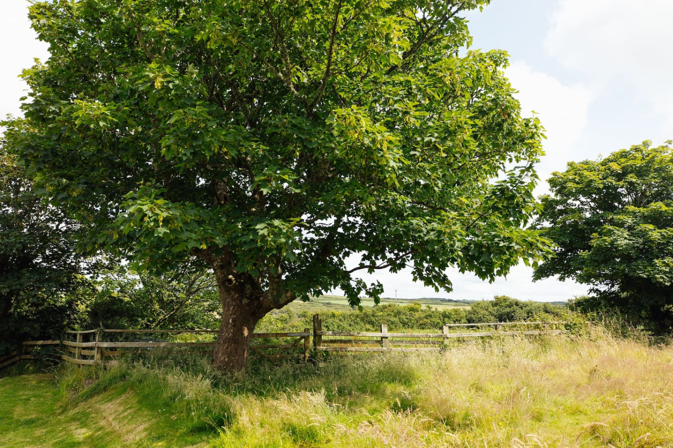 charming-coastal-farmhouse-with-sea-views-and-garden/