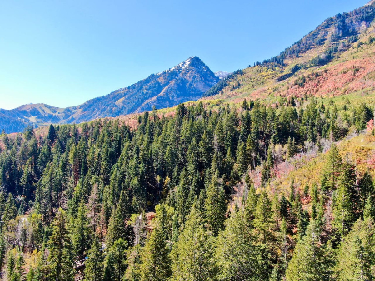 Luxury 4BR Mountain Retreat Near Sundance Resort - Provo