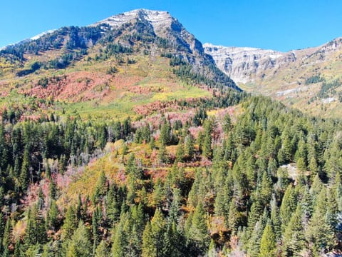 Luxury 4BR Mountain Retreat Near Sundance Resort