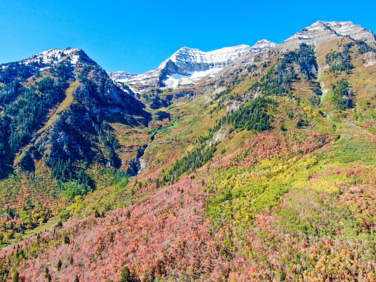 Luxury 4BR Mountain Retreat Near Sundance Resort - Provo