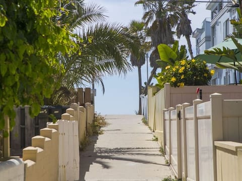 Ocean Front Steps to Mission Beach, Bay, Remodeled