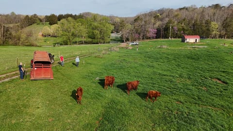 Camper/RV Spot on 20 Acre Farm