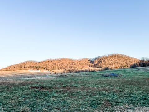 Camper/RV Spot on 20 Acre Farm