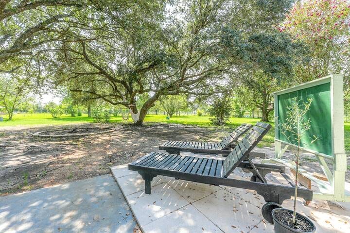 Beautiful canopy of mature oak trees just outside the backdoor.