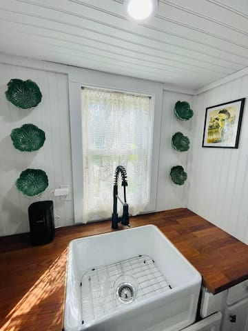 ~ Frog & Toads Cozy Cove ~