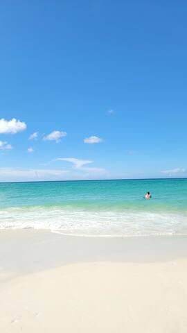 Miramar Beach -August 2024