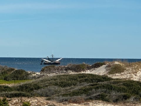 Pelican Rest II