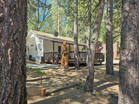 Moonridge Echo Camp