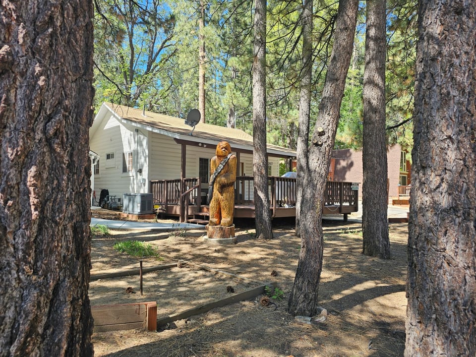 Staying in the woods