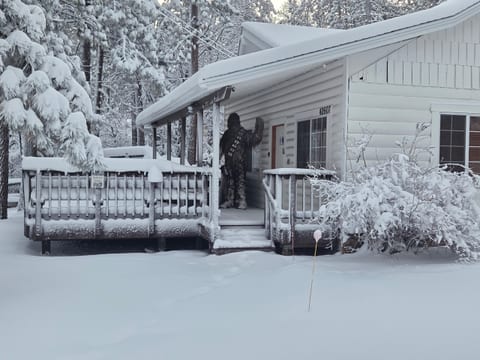 Moonridge Echo | Ski, Hot Tub, Pets + Gen/EV