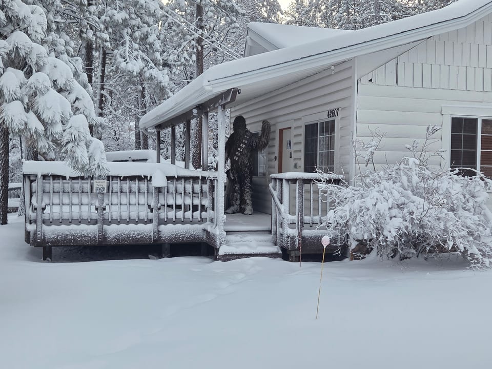Moonridge Echo | Ski, Hot Tub, Pets + Gen/EV - Big Bear Lake