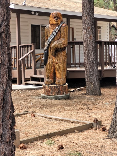 Our Guardian