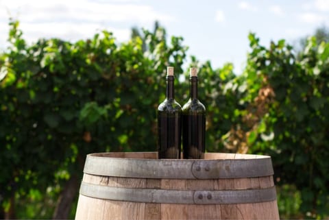 12 Fires Winery - Glamping   #2