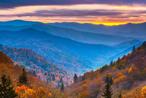 Spacious 3/2 Cabin IN Gatlinburg ~ Dogs Welcome!*