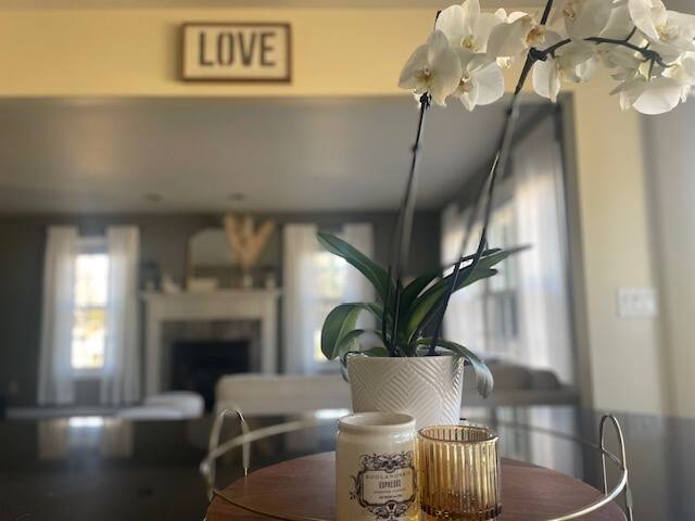 boho-farmhouse-huge-backyard-charter-hill-retreat/