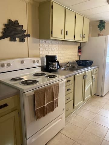 Dino Den - Cozy 1 Bed Apartment. Near City Center
