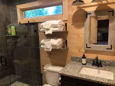 Luxury bathroom with tile shower and granite counters.