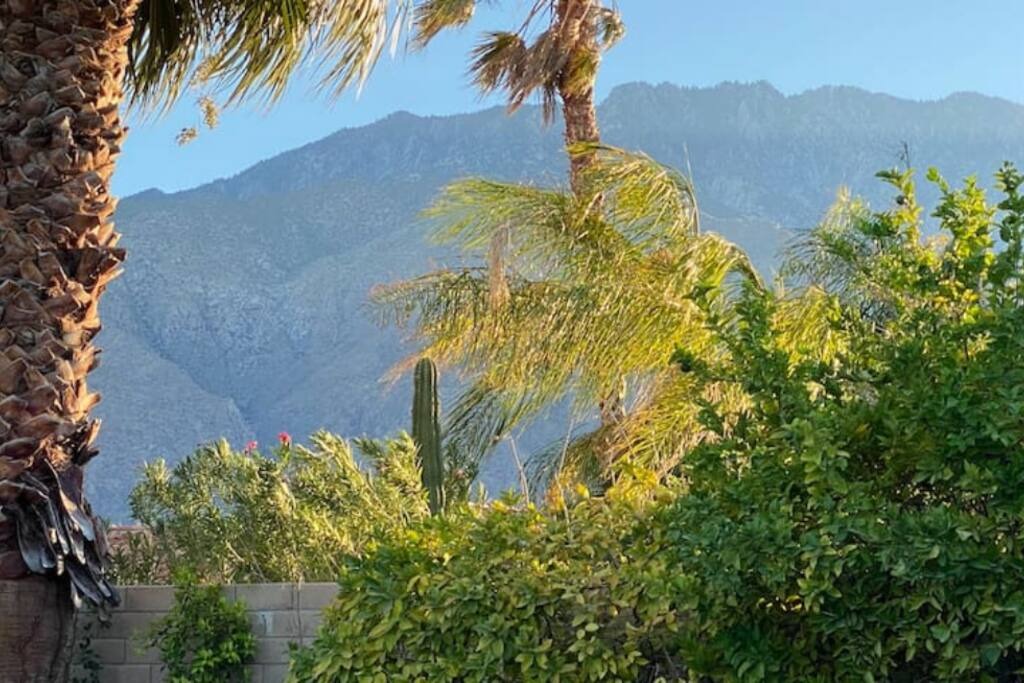 View Villa 2 View Villa 2 - 2 Villa Compound Palm Springs, 2 priv. Pools, Spas - Palm Springs