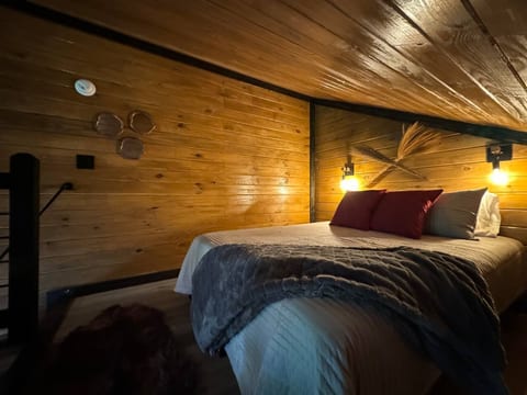 Queen bed with lights on dimmers to aid in relaxation. Wall mirrors in the bedroom area.