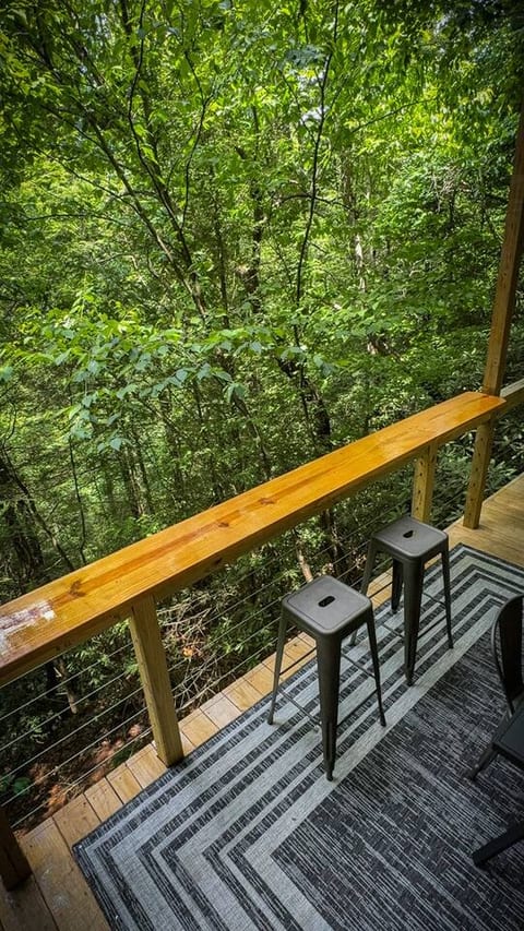 View of the wooded hillside as seen from the back of Squirrel Kit!