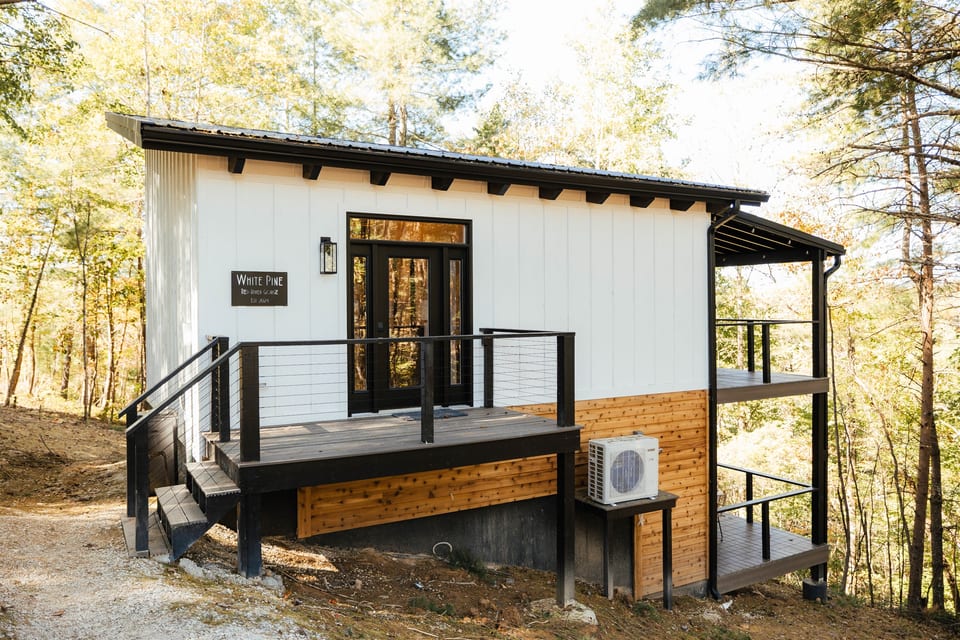 White Pine - Campton