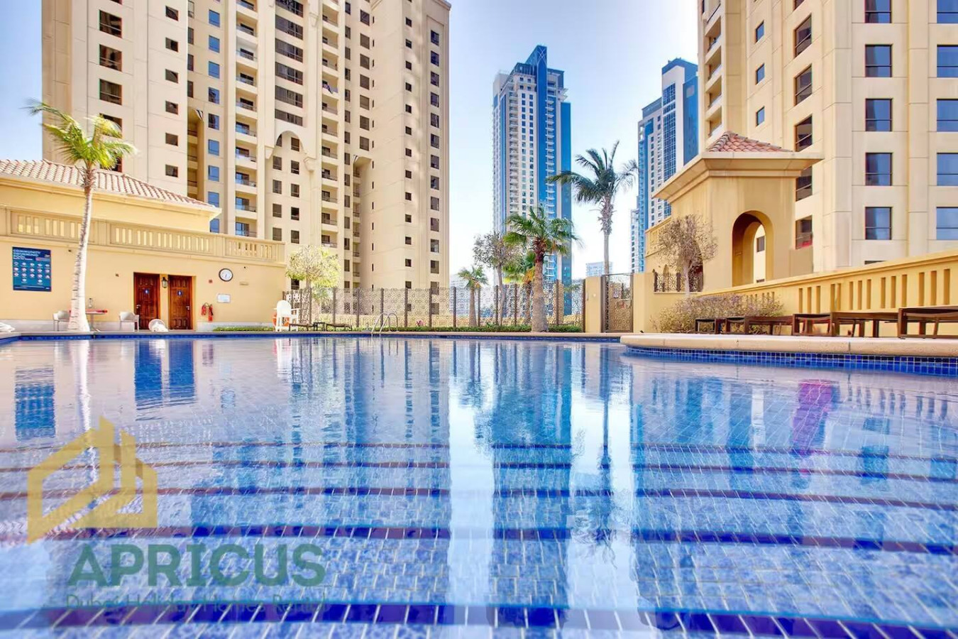 Dive into serenity, a tranquil oasis amidst the vibrant city.