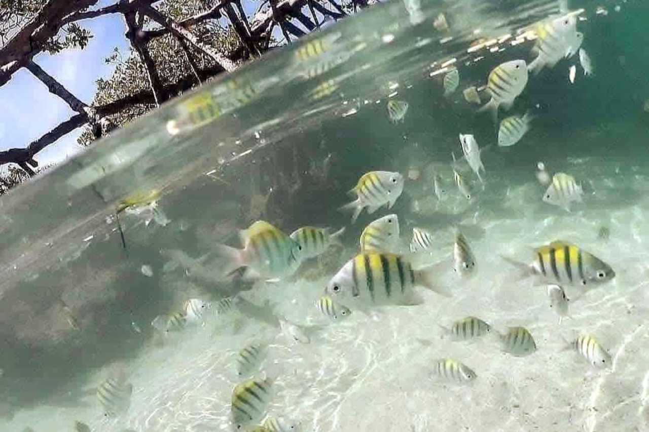 Villa Campo Mar Amazing Pool Beach 6 Minutes Drive 22 Guest - La Luisa