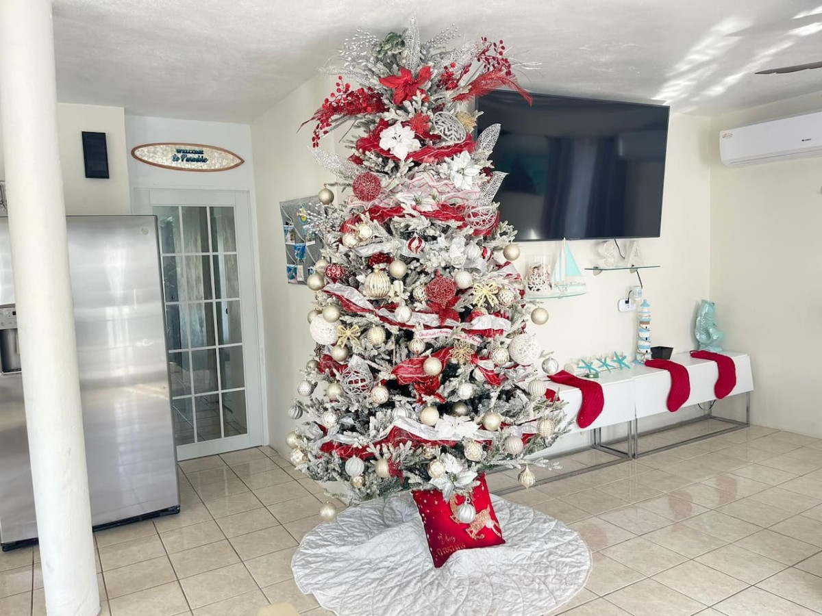 Christmas tree in Villa Salgado