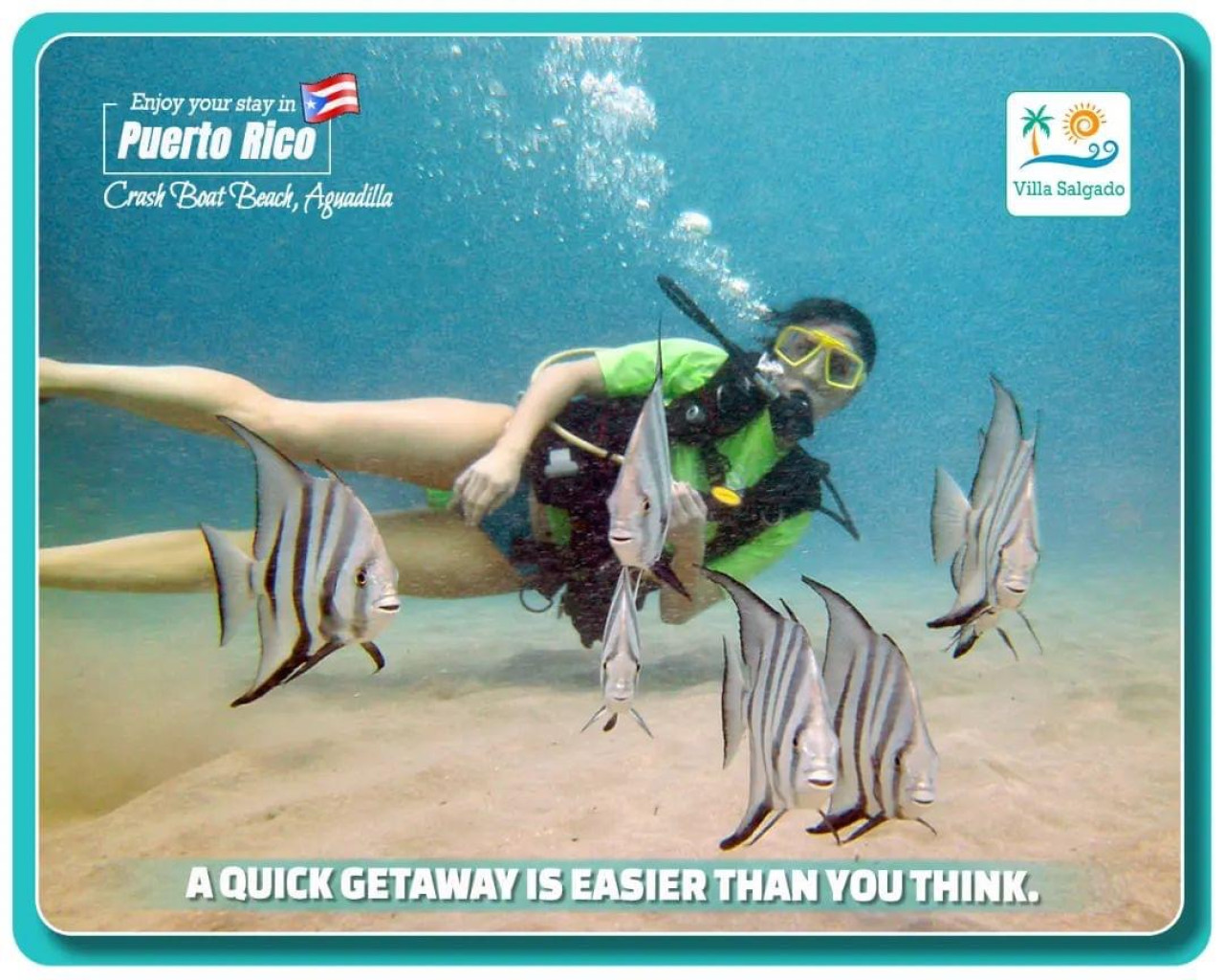Underwater Adventure: Dive into a vibrant world, surrounded by tropical fish and crystal-clear waters!
