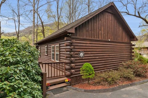 Soco Serene Cabin in the Heart of Maggie Valley